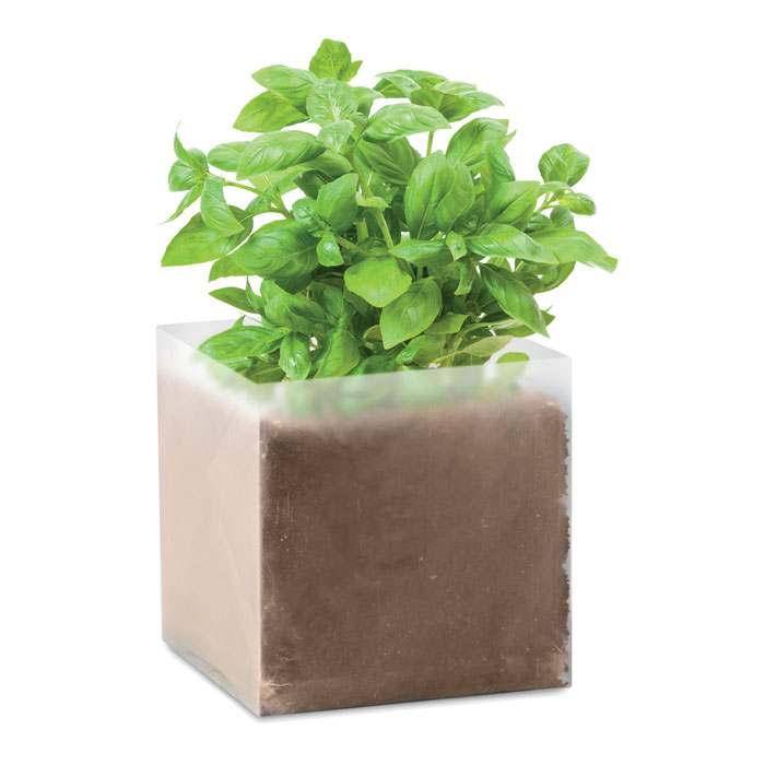 Compost With Seeds "Basil"