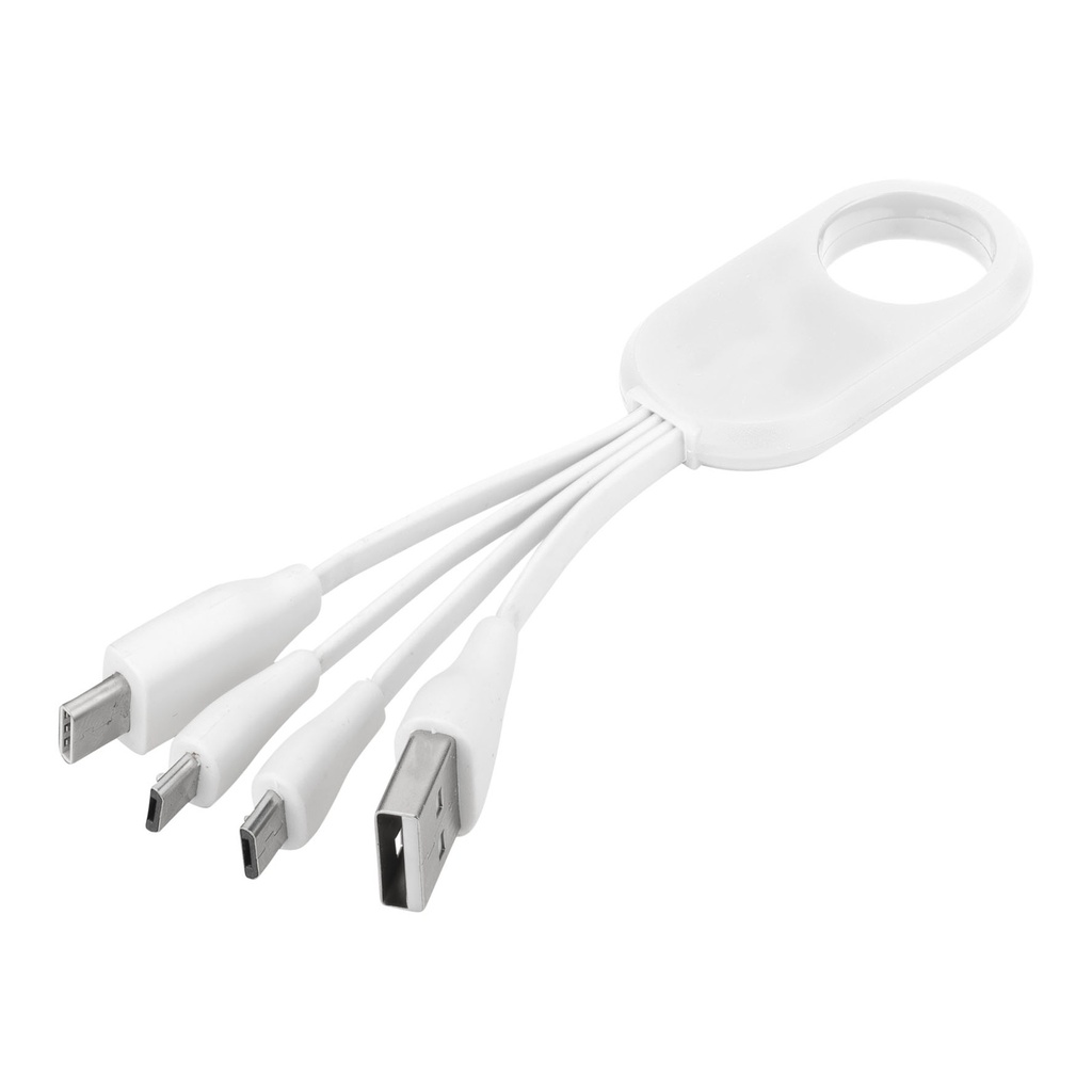 Troup 4-in-1 charging cable with type-C tip