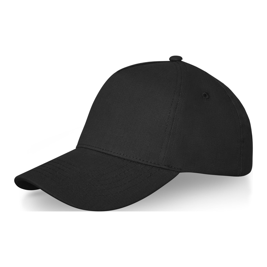 Doyle 5 panel cap