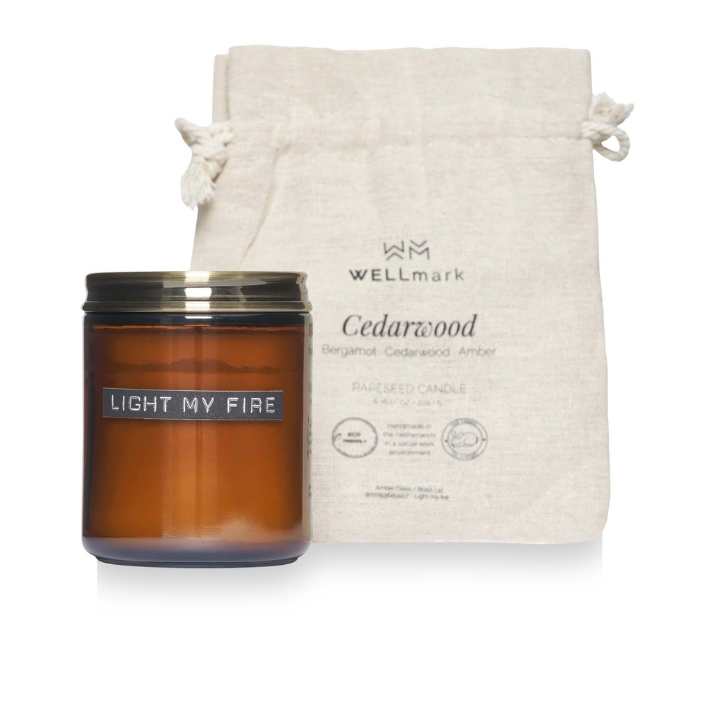 Wellmark cedar wood scented candle medium