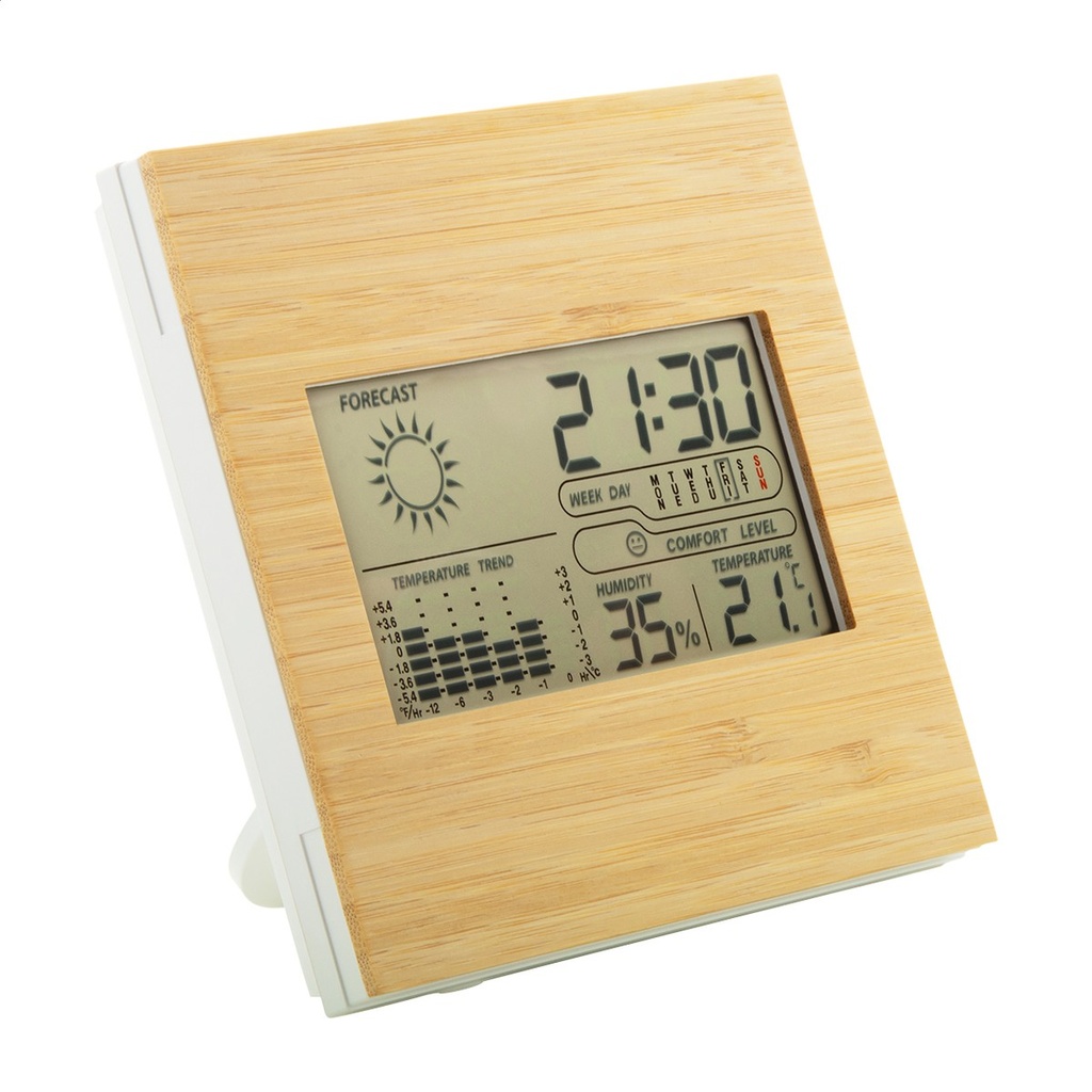 Bamboo Weather Station