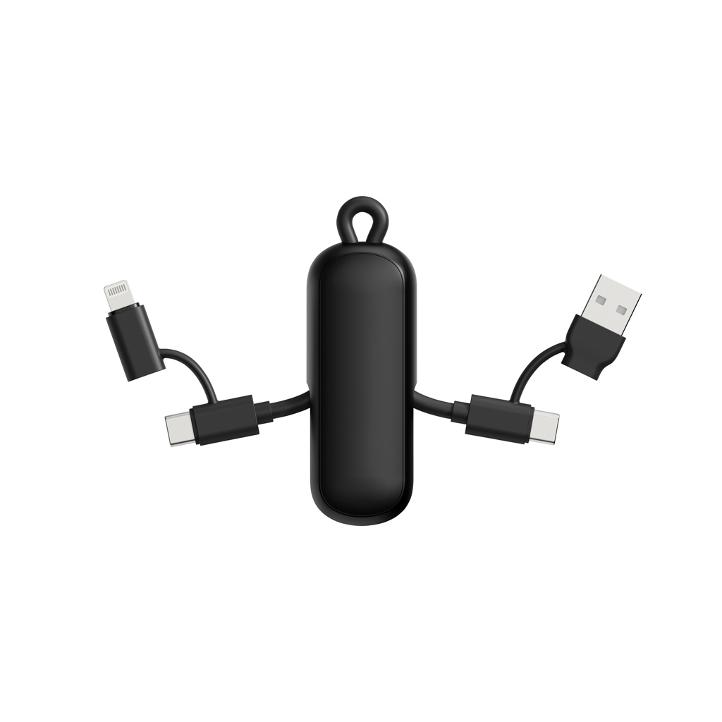 Urban Vitamin Dublin 100W 4 -in-1 keychain cable