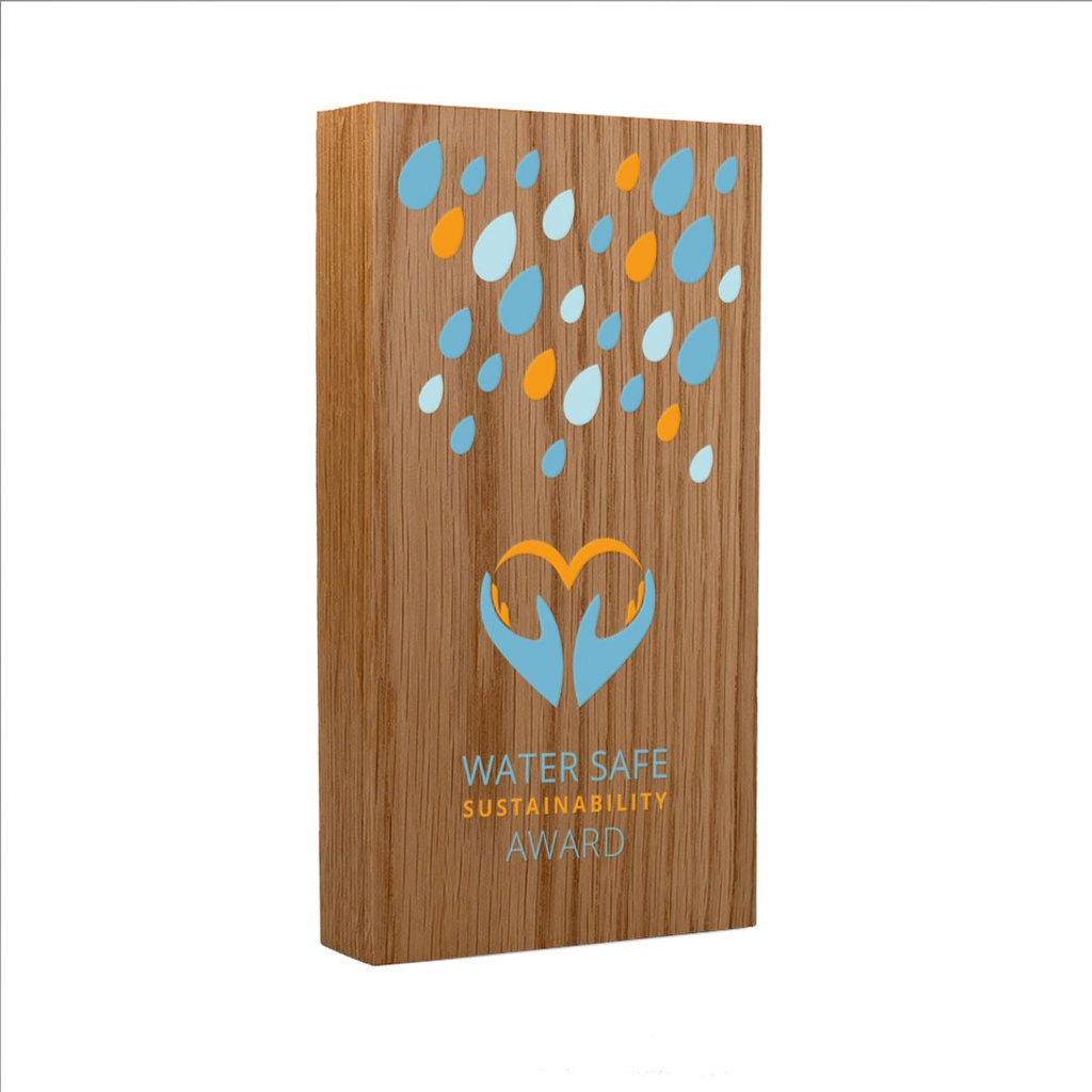 Real Wood Oblong Award 95mm x 175mm