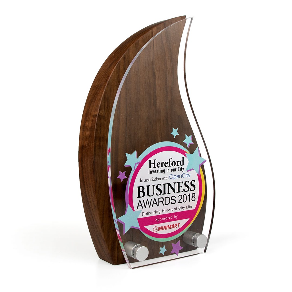 Flame Award 125mm x 225mm With Acrylic Front