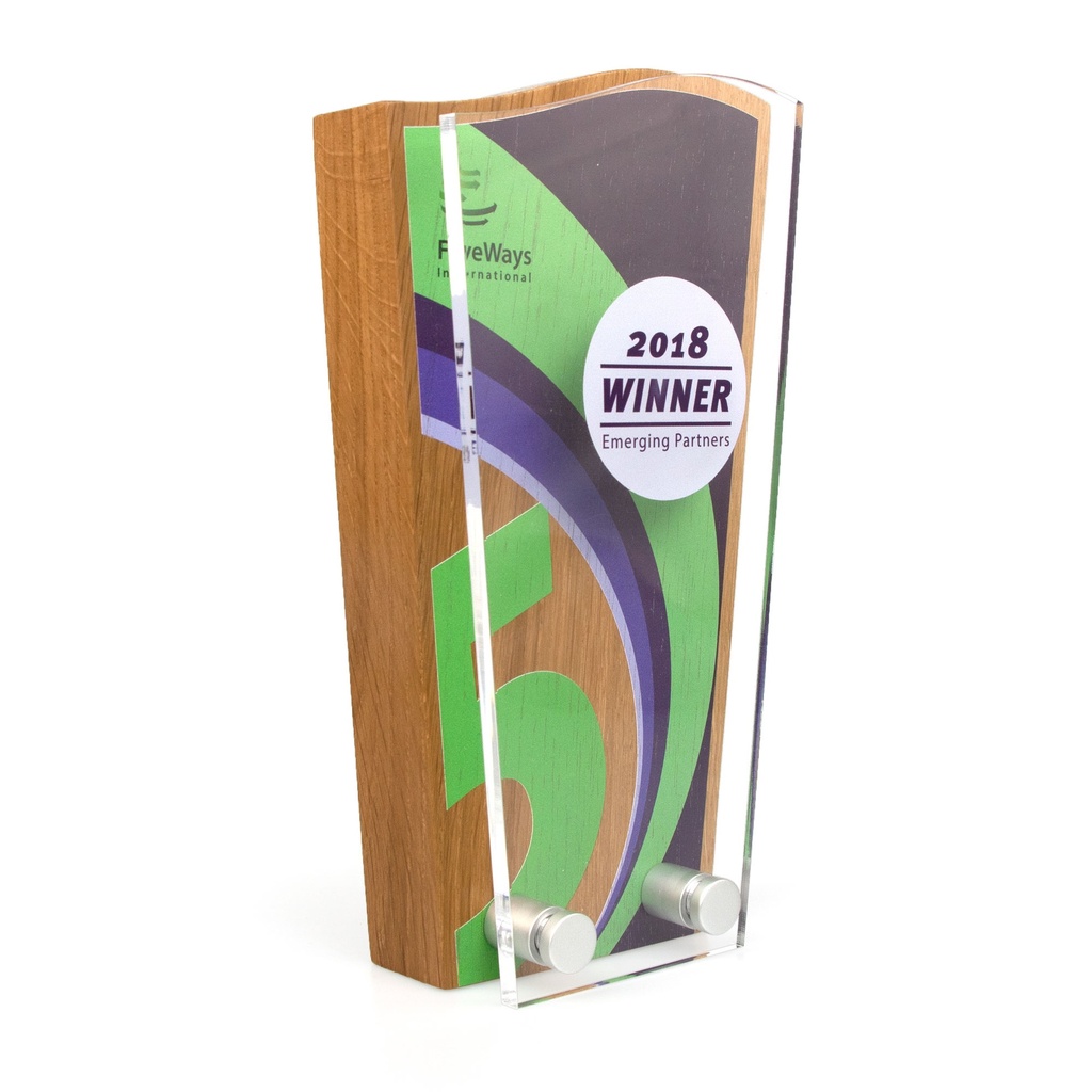 Wave Top Award 110mm x 200mm With Acrylic Front