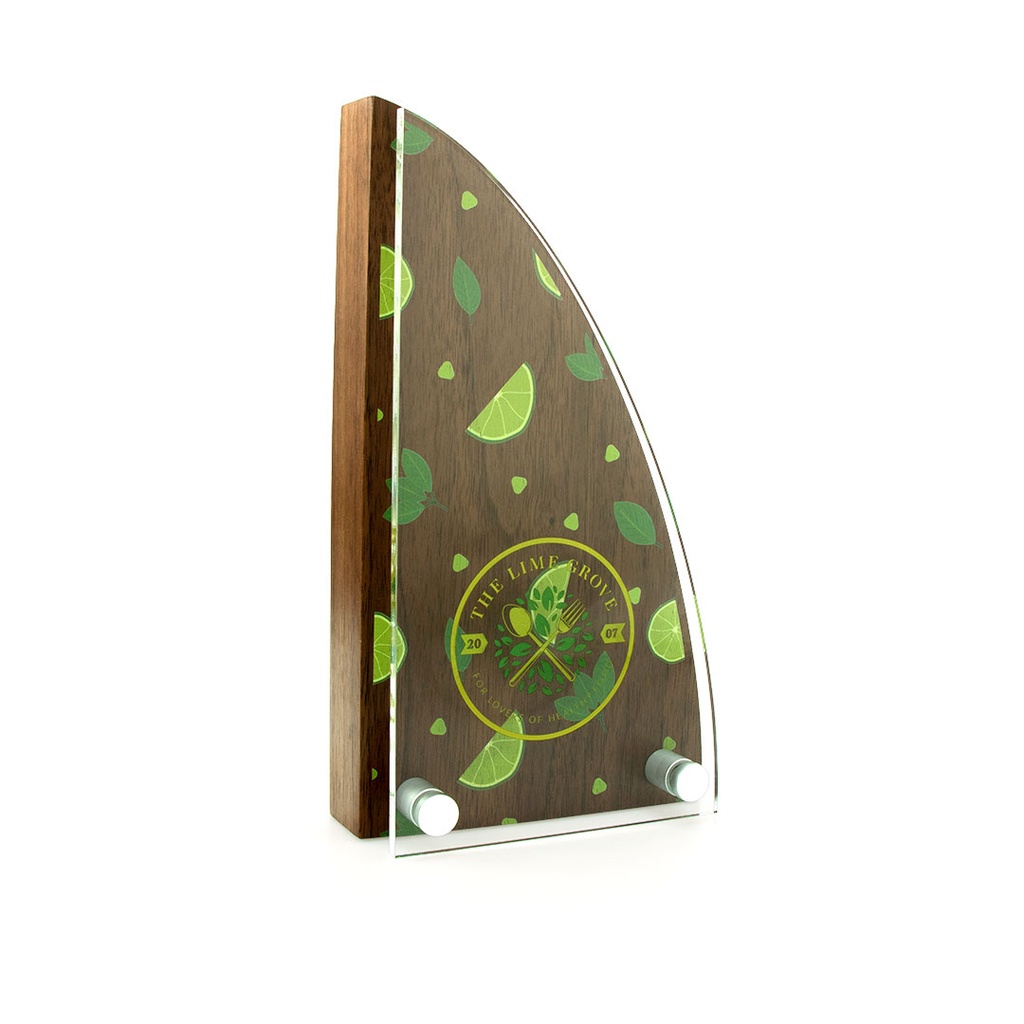 Sail Award 125mm x 225mm With Acrylic Front