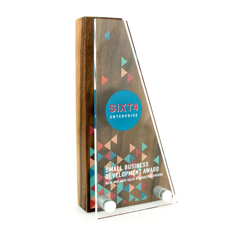 Wedge Award 95mm x 175mm With Acrylic Front