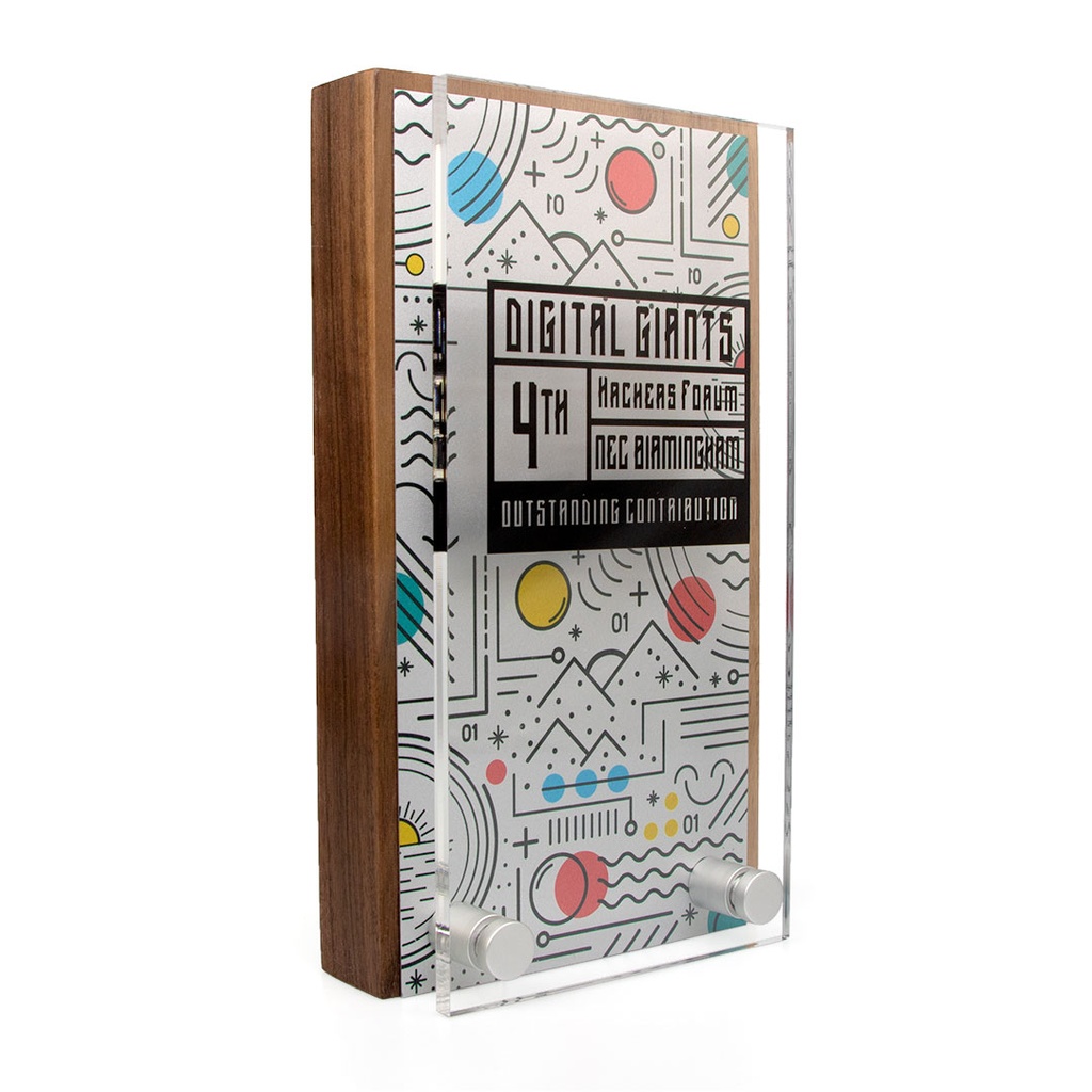 Oblong Award 125mm x 225mm With Metal Plate & Acrylic Front