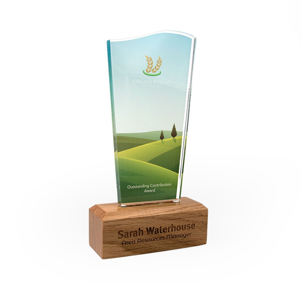 Wave Acrylic Award 125mm x 225mm With 45mm Wooden Base