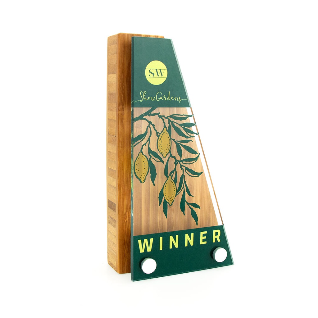 Bamboo Wedge Award 95mm x 175mm With Acrylic Front