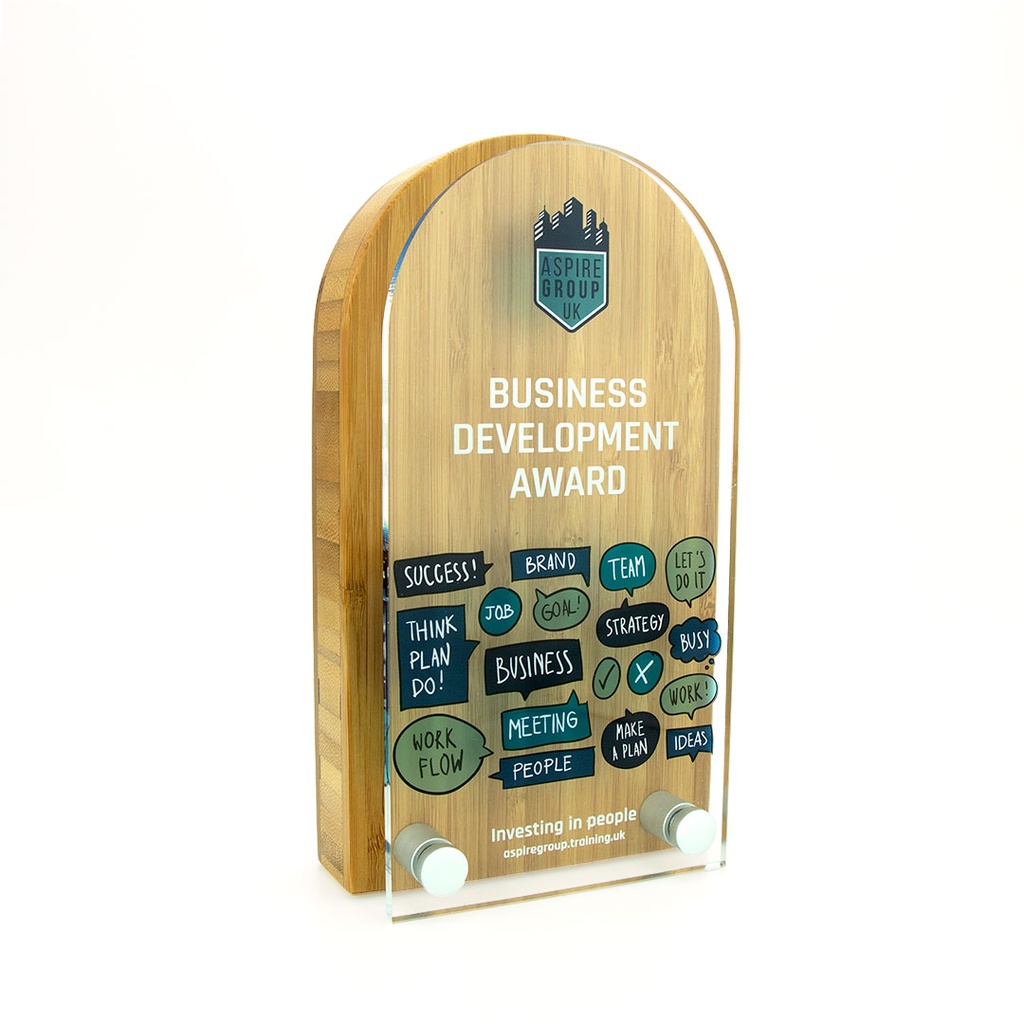 Bamboo Arch Award 80mm x 150mm With Acrylic Front
