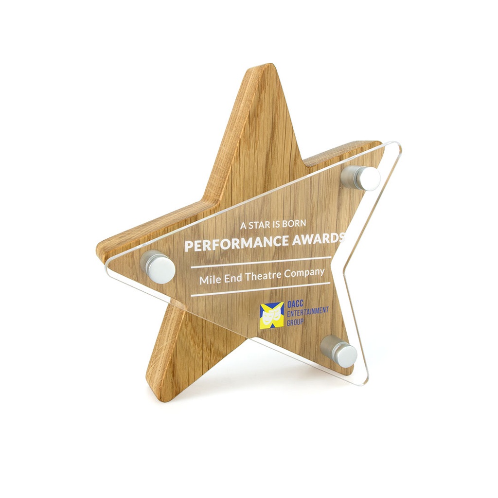 Rising Star Award 158mm x 175mm With Acrylic Front
