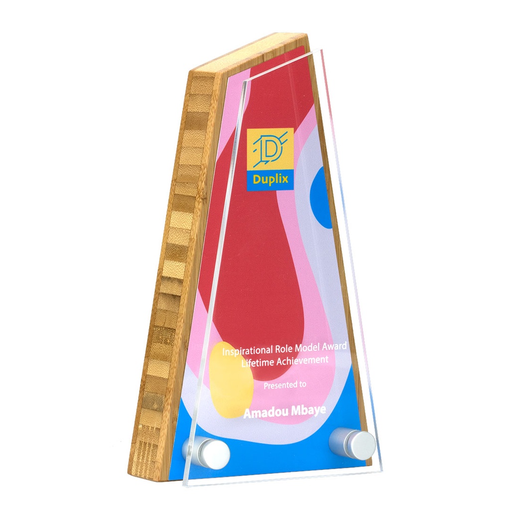 Bamboo Peak Award 110mm x 195mm With Acrylic Front
