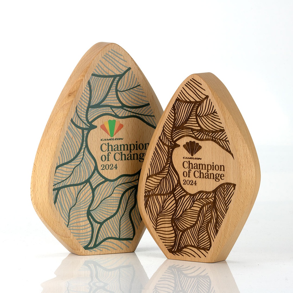 Rhomboid Facet Award 132mm x 175mm