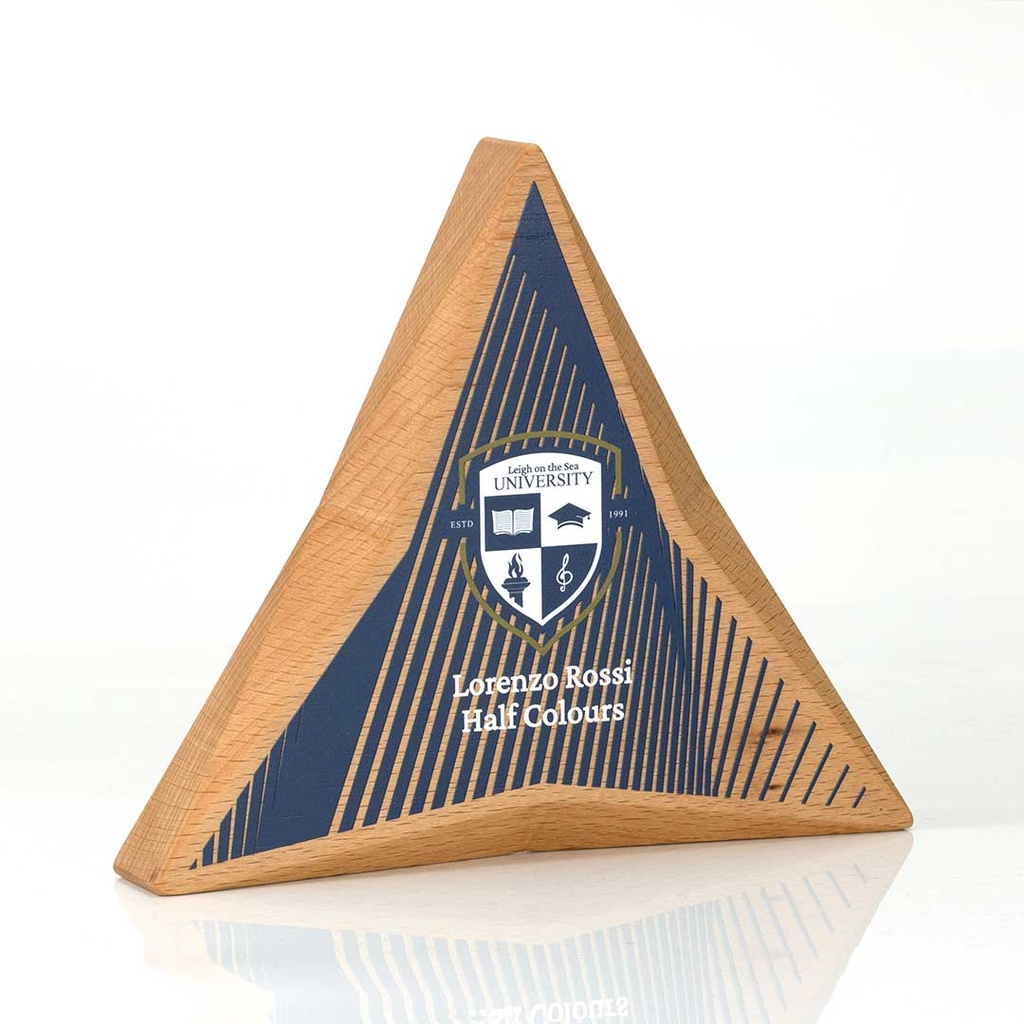 Faceted Triangle Award 180mm x 158mm