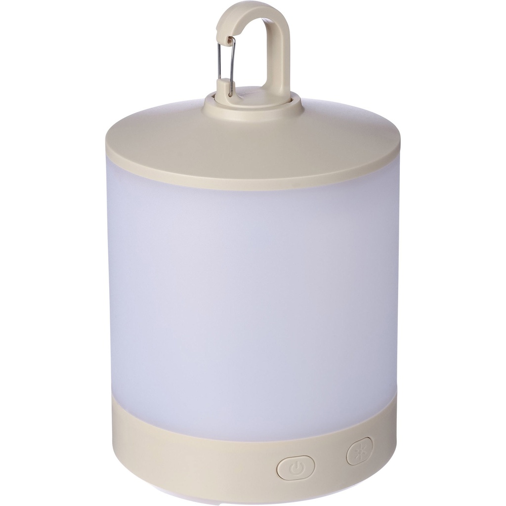 Multi-functional light