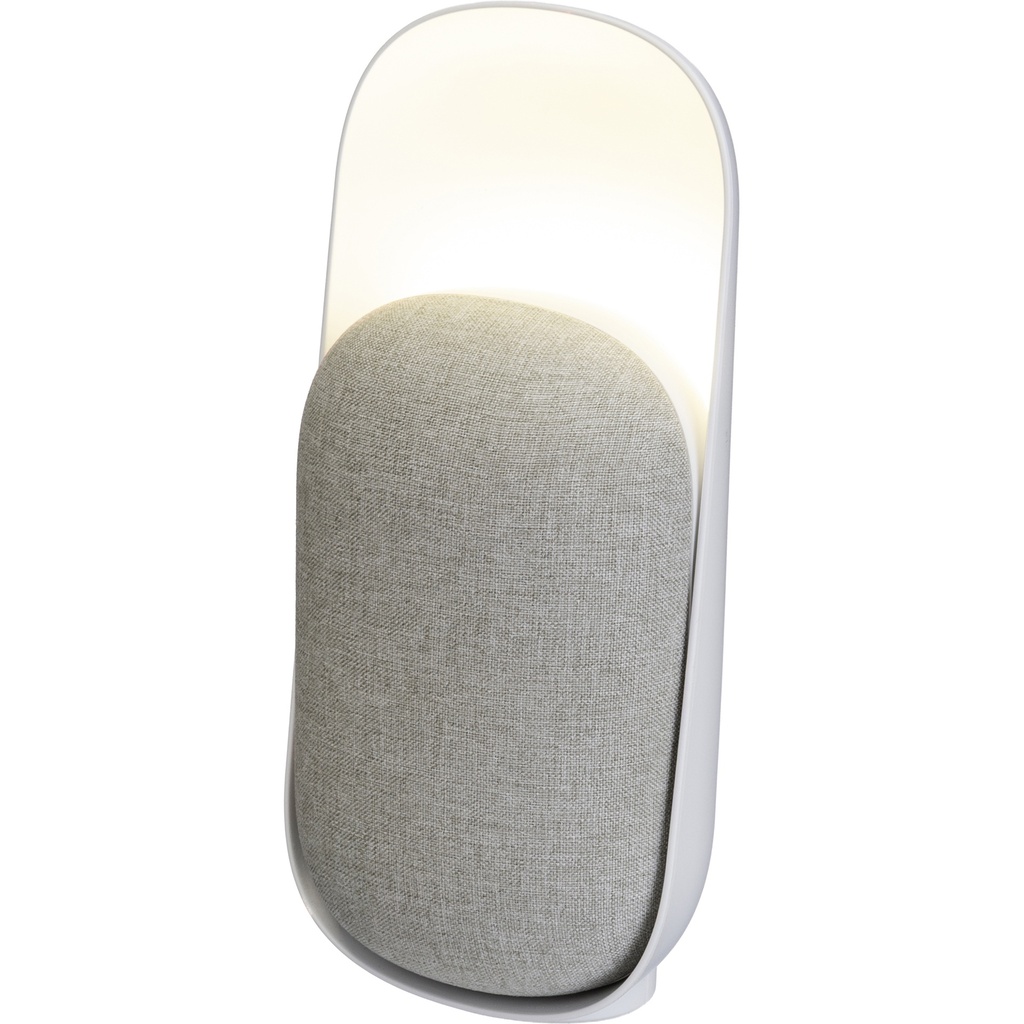 Recycled speaker