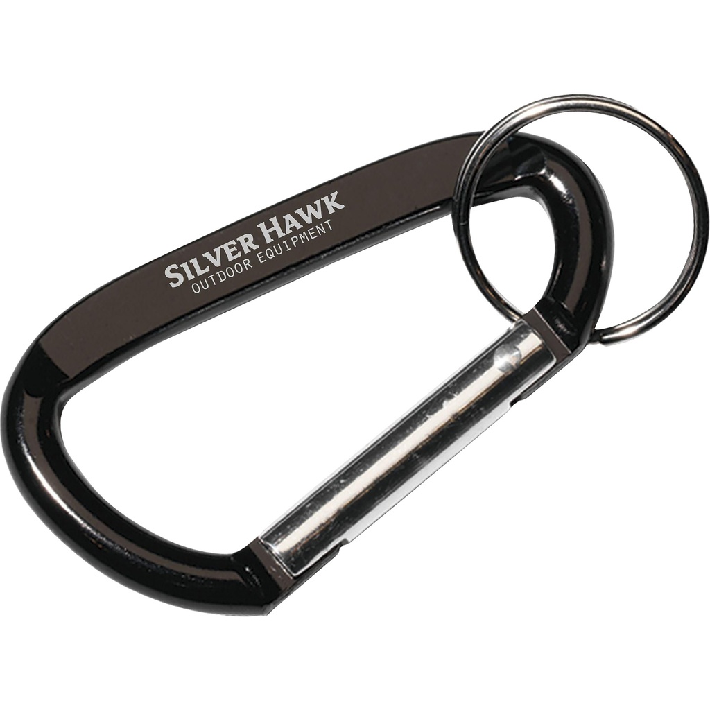 Carabiner keyring