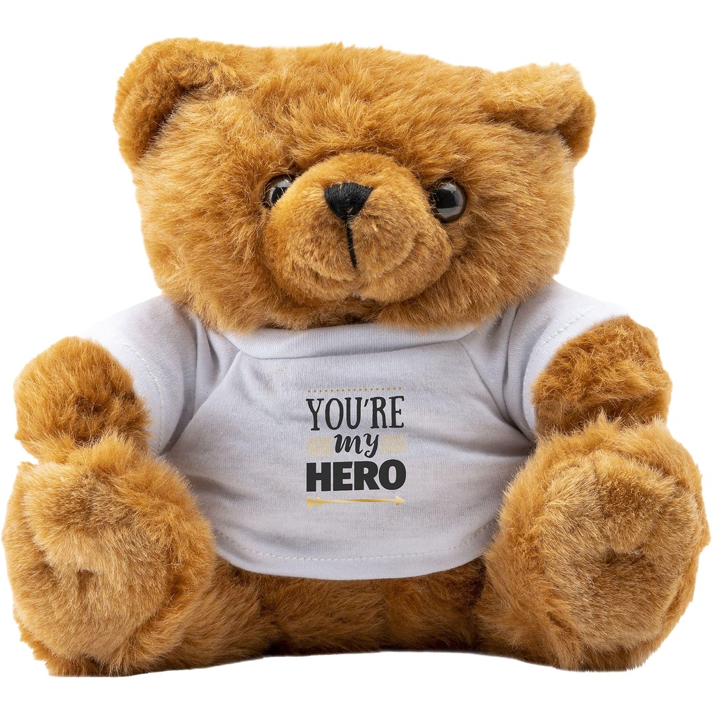Big Browny bear soft toy