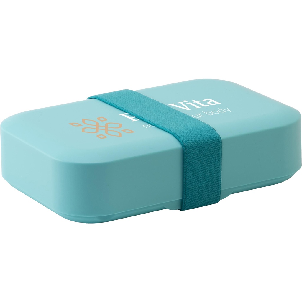 Day to Day lunch box