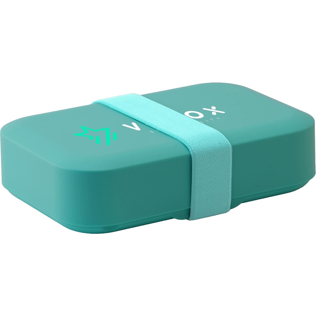 Day to Day lunch box