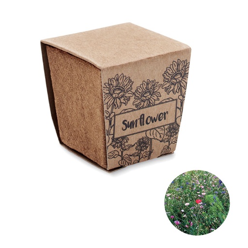 [MO2411-13] Sunflower Growing Kit