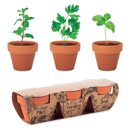 [MO6145-40] Terracotta 3 Herb Pot Set