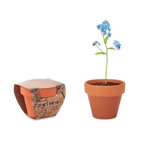 [MO6146-40] Terracotta Pot 'Forget Me Not'