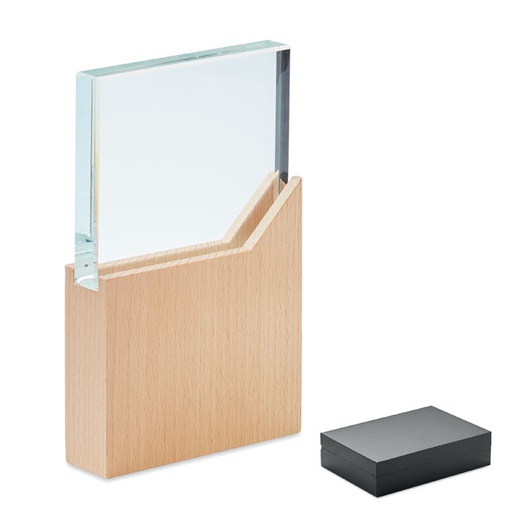 [MO6585-40] Award Plaque