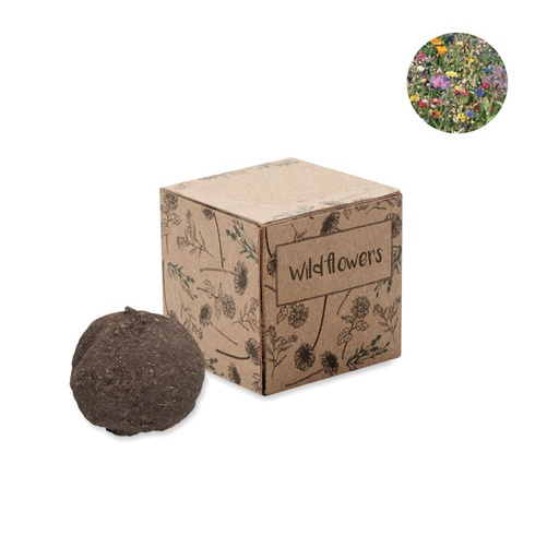 [MO6908-13] Seed Bomb Growing Kit