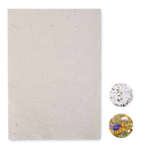[MO6914-06] A4 Wildflower Seed Paper Sheet