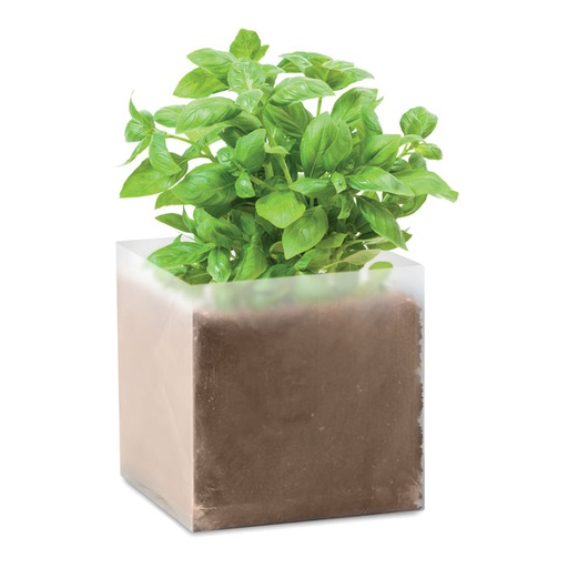 [MO9545-13] Compost With Seeds "Basil"
