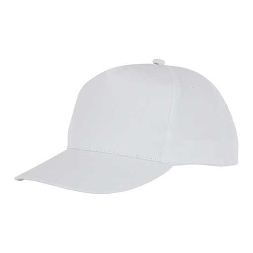 Hades 5 panel cap