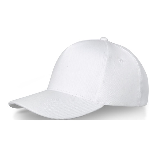 Doyle 5 panel cap