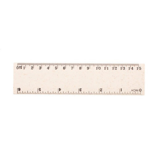 [AP808517-00] Ruler