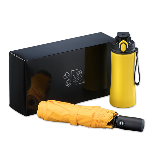 Primo Everyday Set: water bottle 550 ml & full automatic umbrella harvard