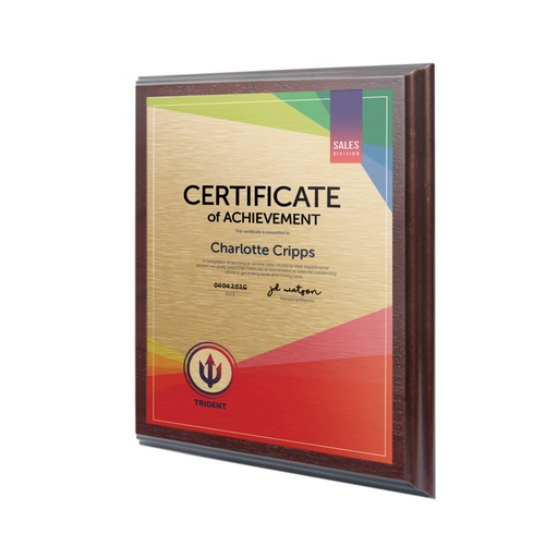 [AAP7x9P] Metal Faced Plaque 7 x 9 ins Portrait