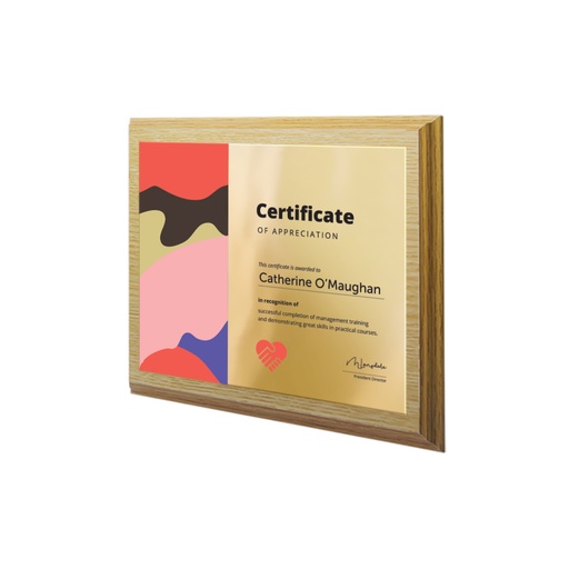 [AAP8x6L] Metal Faced Plaque 8 x 6ins Landscape