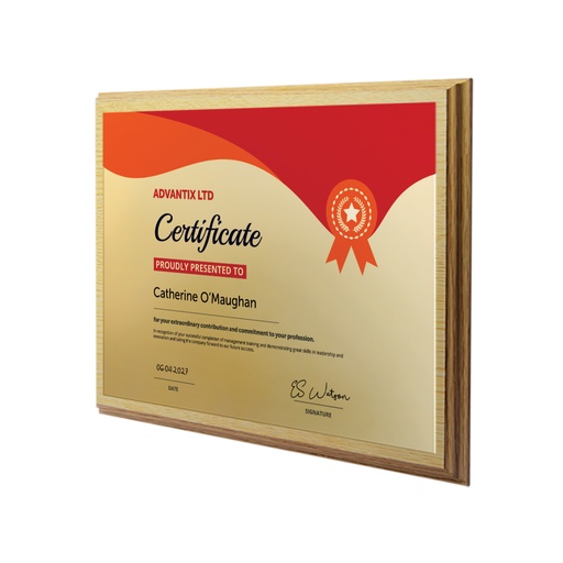 [AAP10x8L] Metal Faced Plaque 10 x 8ins Landscape