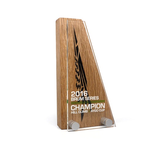 Wedge Award 110mm x 200mm With Acrylic Front