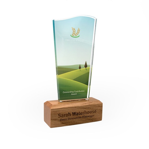 [ACRFS-WD1-2] Wave Acrylic Award 95mm x 175mm With 28mm Wooden Base