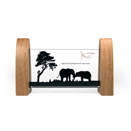[AWA1] Acrylic Bridge Award 180mm x 90mm